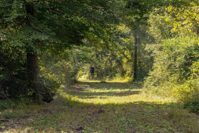 Imagine owning more than a mile of Big Black River frontage in - photo 4