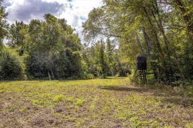 Imagine owning more than a mile of Big Black River frontage in - photo 5