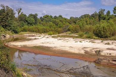 Imagine owning more than a mile of Big Black River frontage in - photo 7