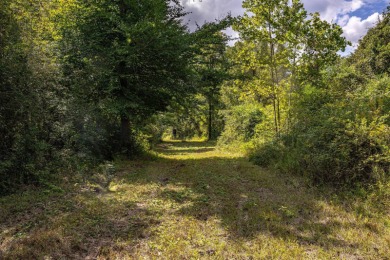 Imagine owning more than a mile of Big Black River frontage in - photo 8