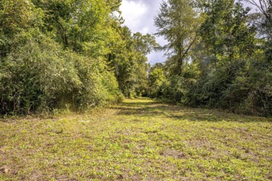Imagine owning more than a mile of Big Black River frontage in - photo 9