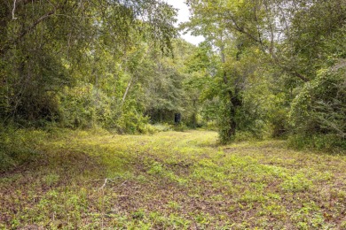 Imagine owning more than a mile of Big Black River frontage in - photo 10
