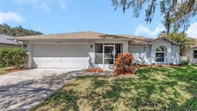 Lake Tarpon Home For Sale in Palm Harbor Florida