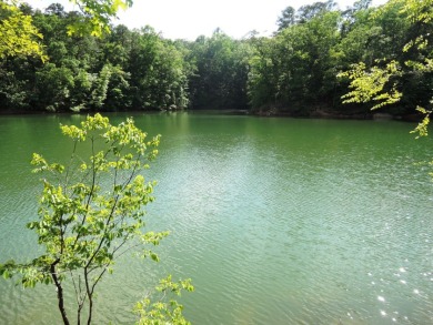 PRIVATE DEEP WATER COVE - Lake Lot For Sale in Double Springs, Alabama