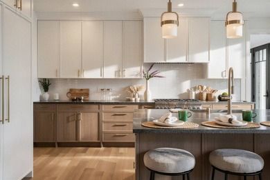Introducing 110 Crescent Court: a newly completed architectural - photo 10