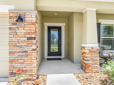 BREATHTAKING LAKE & PRESERVE VIEW! The serenity on this trussed - photo 4