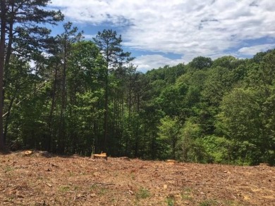 Beaver Lake Lot For Sale in Rogers Arkansas