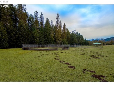 Rare opportunity to own Illahee Ranch, rich with Native American - photo 14