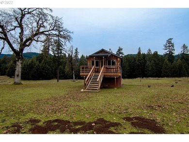 Rare opportunity to own Illahee Ranch, rich with Native American - photo 31