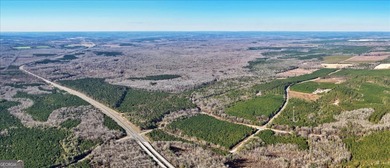 3,061 Acres on the Flint River - Exceptional Sporting, Timber - photo 2