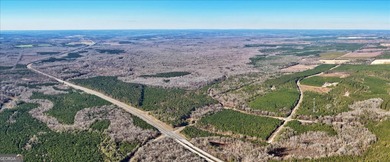 3,061 Acres on the Flint River - Exceptional Sporting, Timber - photo 3