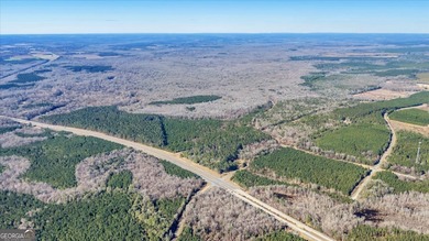 3,061 Acres on the Flint River - Exceptional Sporting, Timber - photo 4