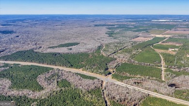 3,061 Acres on the Flint River - Exceptional Sporting, Timber - photo 5