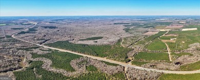 3,061 Acres on the Flint River - Exceptional Sporting, Timber - photo 6