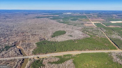 3,061 Acres on the Flint River - Exceptional Sporting, Timber - photo 7