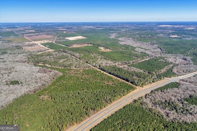 3,061 Acres on the Flint River - Exceptional Sporting, Timber - photo 8