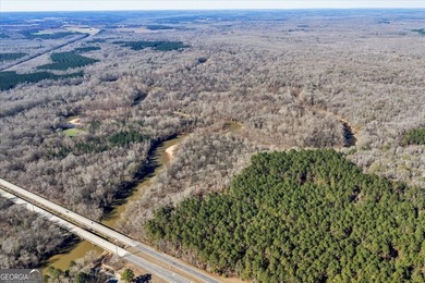 3,061 Acres on the Flint River - Exceptional Sporting, Timber - photo 9