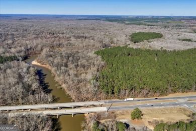 3,061 Acres on the Flint River - Exceptional Sporting, Timber - photo 10
