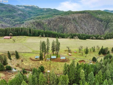 Rare opportunity to own Illahee Ranch, rich with Native American - photo 48
