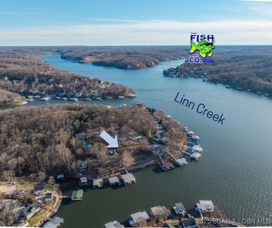 Rare Double Lakefront Lot in Highly Desirable Linn Creek Cove! - photo 6