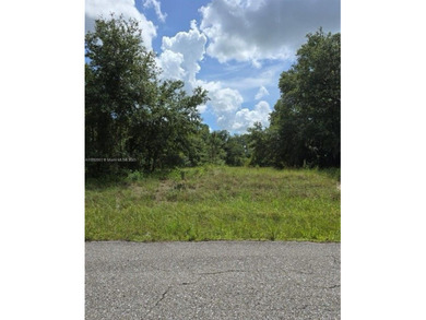 Lehigh Acres Area Lot For Sale in Lehigh Acres Florida