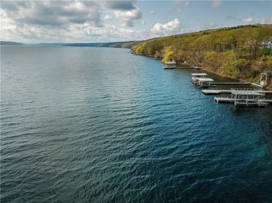 Seneca Lake Lot For Sale in Dundee New York