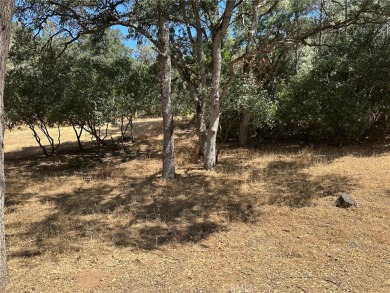 Lake Lot For Sale in Clearlake Oaks, California