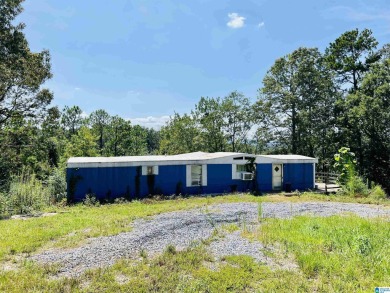 Lake Home For Sale in Talladega, Alabama
