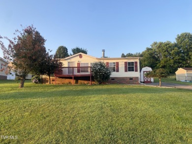 Lake Home For Sale in Johnson City, Tennessee