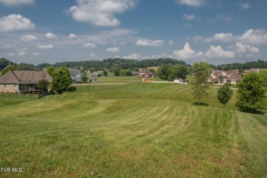 Lake Lot For Sale in Blountville, Tennessee