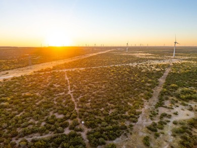 Lake Acreage For Sale in Robert Lee, Texas