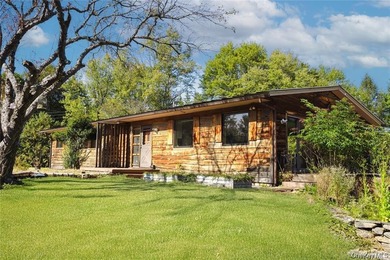 Escape to the serenity of Sullivan County with this modern and - photo 1