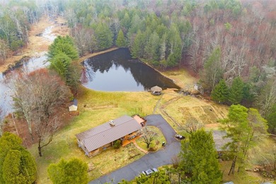 Escape to the serenity of Sullivan County with this modern and - photo 9