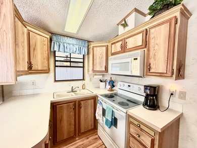 This beautifully maintained one-bedroom, one-bath mobile home - photo 11
