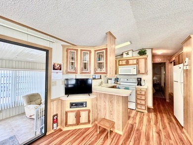 This beautifully maintained one-bedroom, one-bath mobile home - photo 12