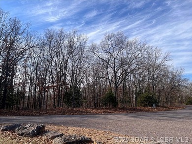 Lake Acreage For Sale in Gravois Mills, Missouri