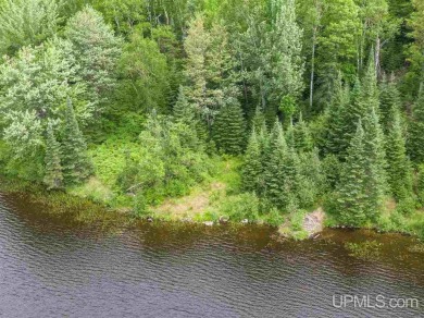 (private lake, pond, creek) Acreage For Sale in Marenisco Michigan