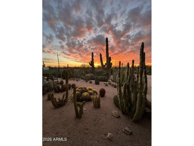 Tucked into the natural beauty of Cave Creek, this thoughtfully