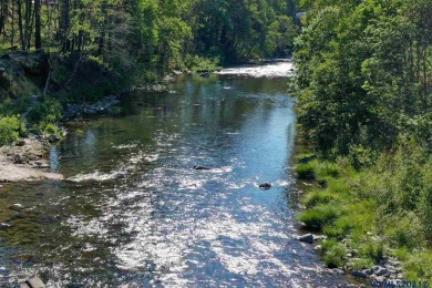 Santiam River - Marion County Lot For Sale in Lyons Oregon
