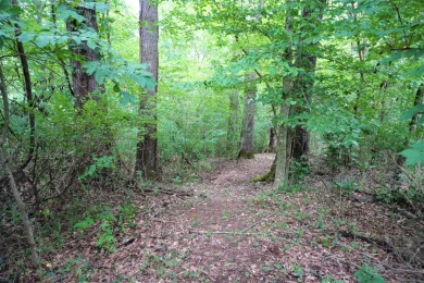 Lake Lot For Sale in Newport, Tennessee