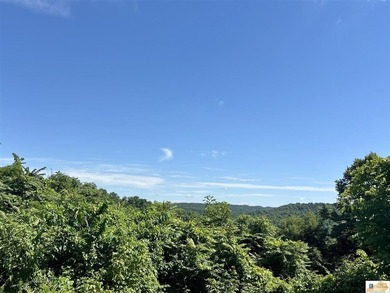 Approximately a mile from Dale Hollow Lake, this - photo 12
