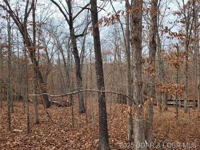 Lake Acreage For Sale in Edwards, Missouri