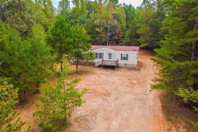 Lake Home For Sale in Lavonia, Georgia