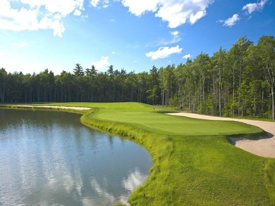 Beautiful 2024 Park model home in the Executive phase of - photo 26