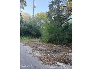 Lot zoned for Single Family Residential and is located in Panama - photo 1