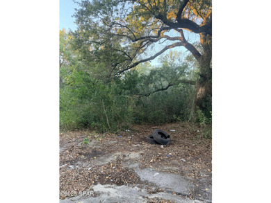 Lot zoned for Single Family Residential and is located in Panama - photo 2
