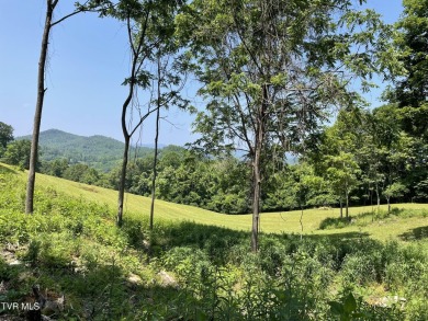 Lake Acreage For Sale in Butler, Tennessee