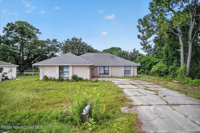 Investment project for the right investor - Palm Bay. This - photo 4