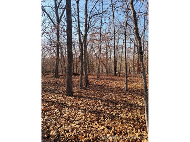 Lake Acreage For Sale in Gravois Mills, Missouri