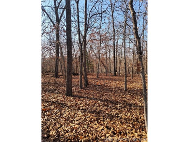 Lake Acreage For Sale in Gravois Mills, Missouri